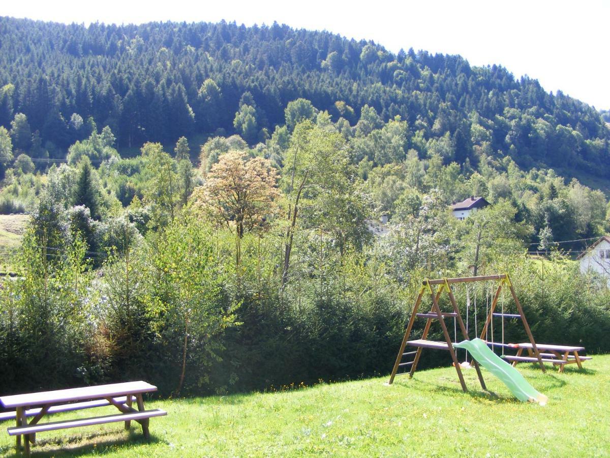 Appartamento Les Mimosas La Bresse Esterno foto